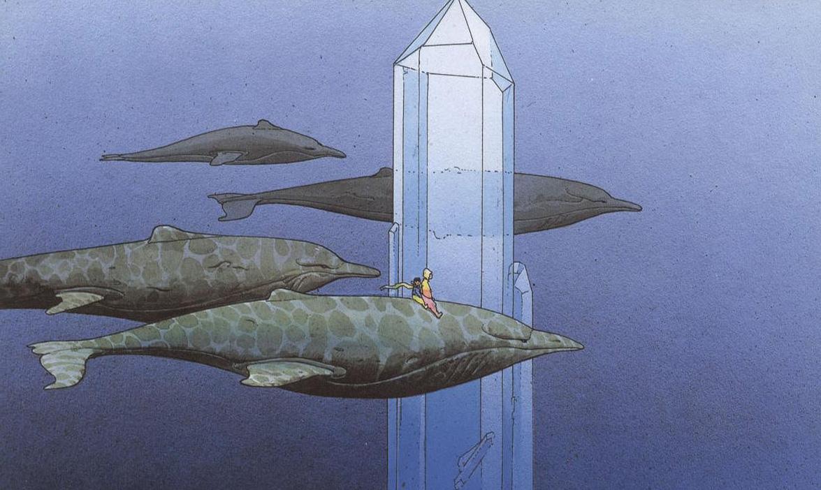 <moebius> 6